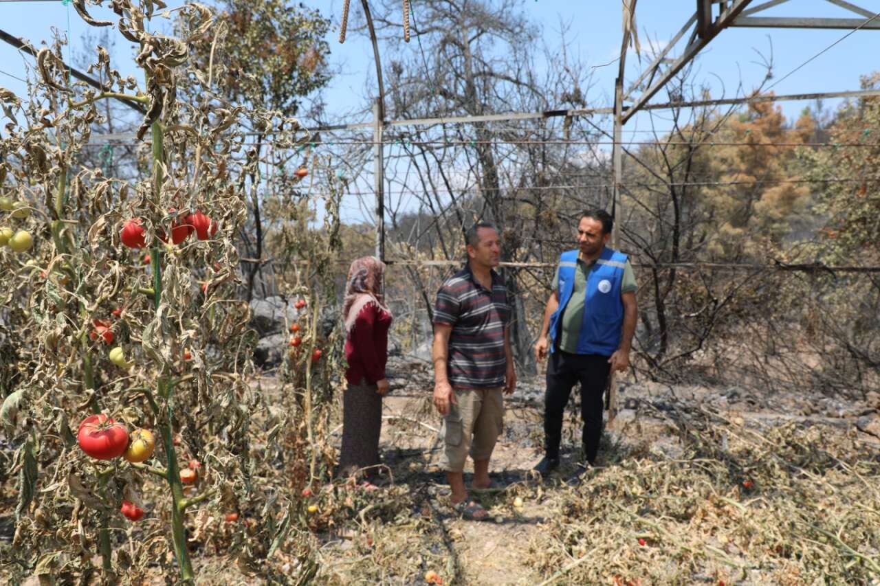 Seydikemer’de Yangın Sonrası Hasar Tespiti Başladı: Muğla Büyükşehir Tüm Birimleriyle Sahada 2